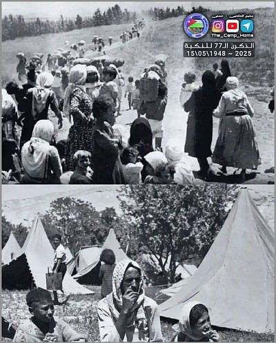 فلسطين من المخيم
