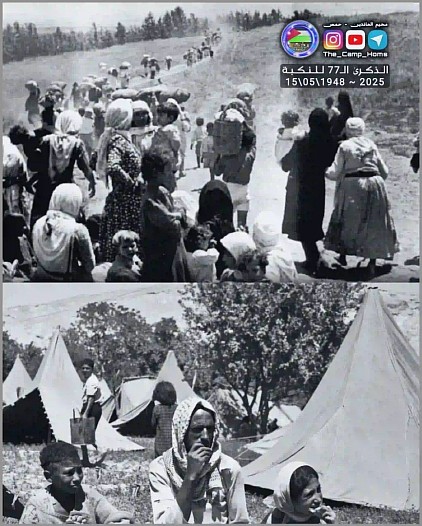 فلسطين من المخيم
